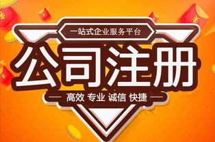 武昌注冊公司代辦服務 為軟件服務行業(yè)保駕護航