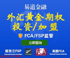 輕資產創業新風尚 小額投資代理代辦業務如何落地