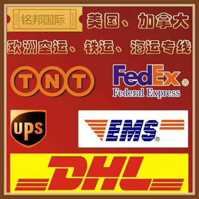 深圳國際貨運代理行業深度解析 企業名錄與軟件服務賦能物流升級